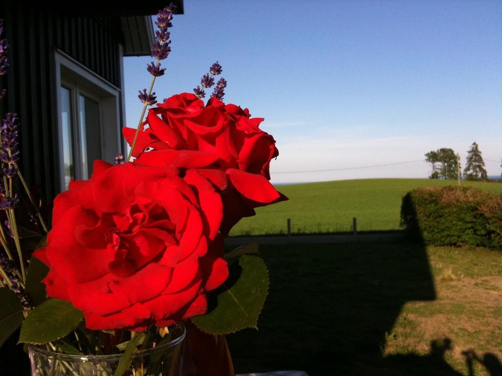 Bed and Breakfast Cocoon Meetings Degeberga Esterno foto